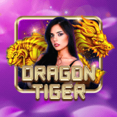 ড্রাগন টাইগার - 3333bet apk